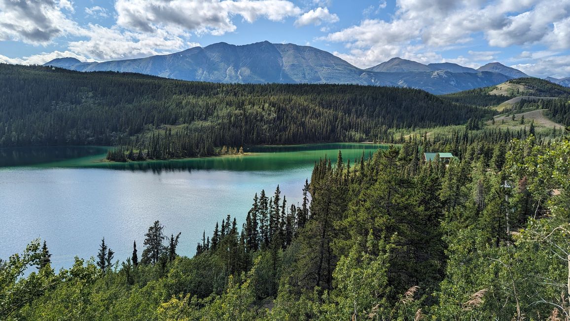 Day 21: Around Whitehorse: Husky Puppies, Emerald Lake & the smallest desert in the world