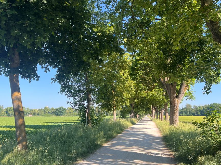 21 nach Donauwörth