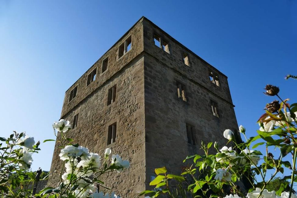 Zwischen Weinreben und Geschichte: Die Yburg im Fokus 📸