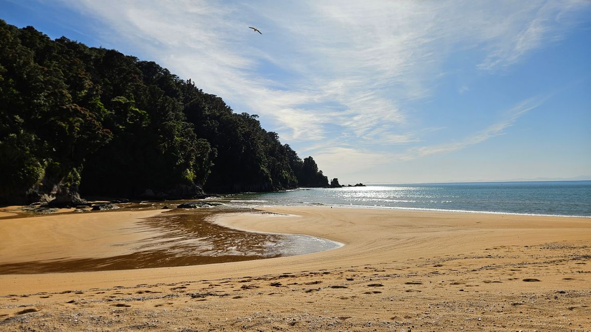 Abel Tasman Coastal Track