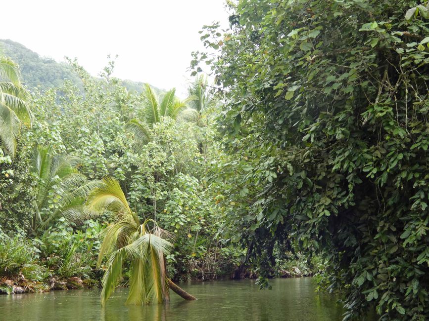 Apoomau River