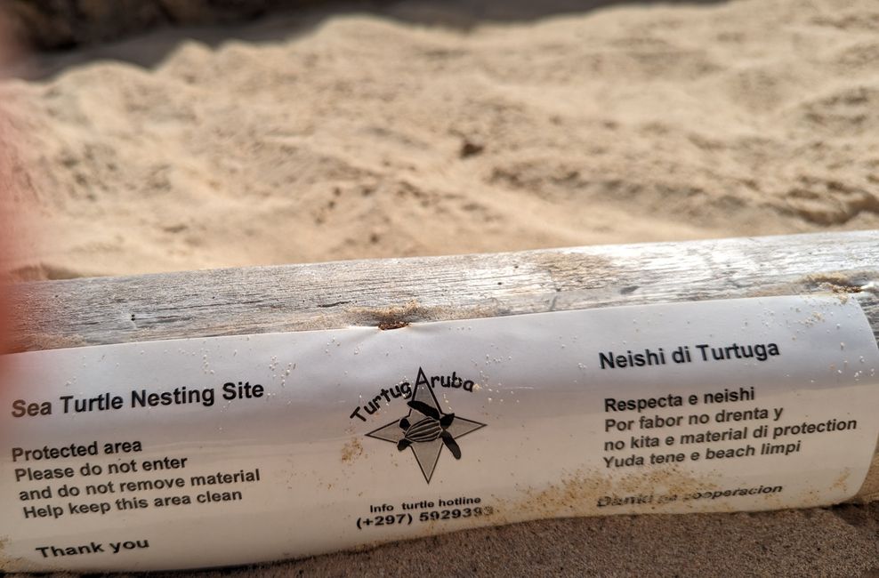 Dos Playa  - Schildkröten Nesting Site