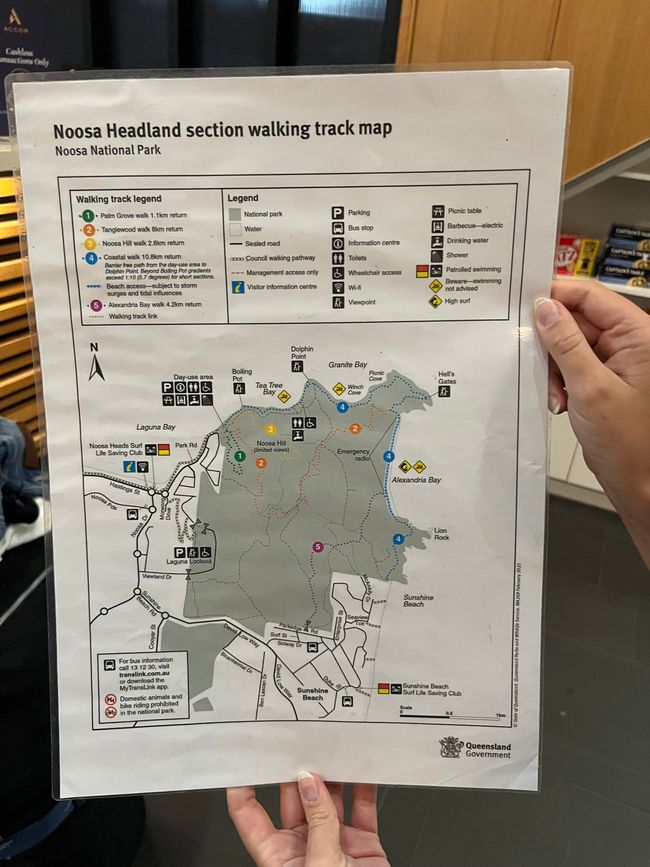 Noosa Resort | To do Morgen 