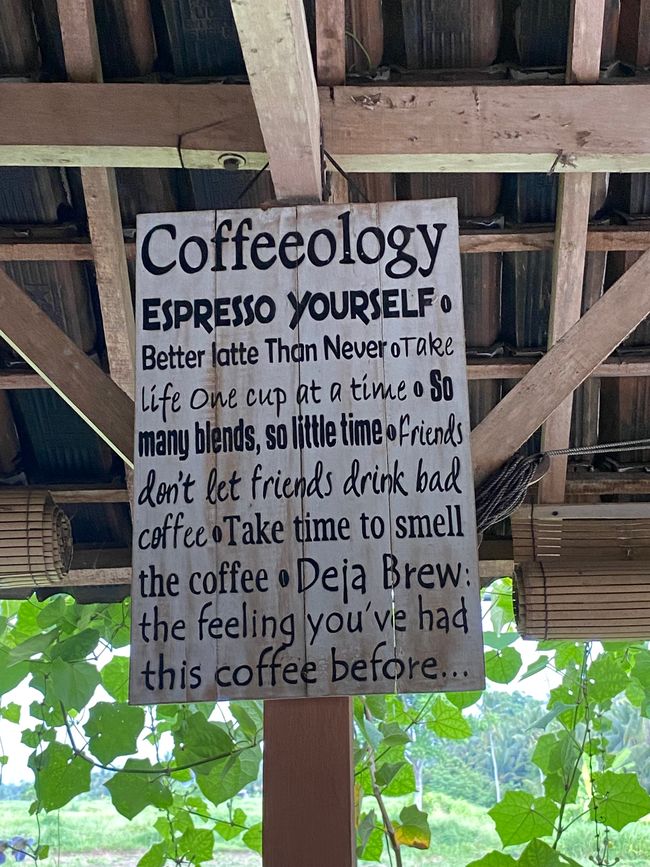 Free tasting on a tea and coffee farm