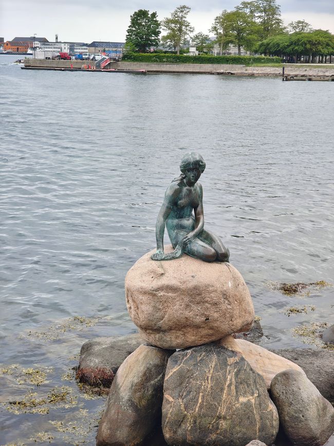 Die kleine Meerjungfrau 