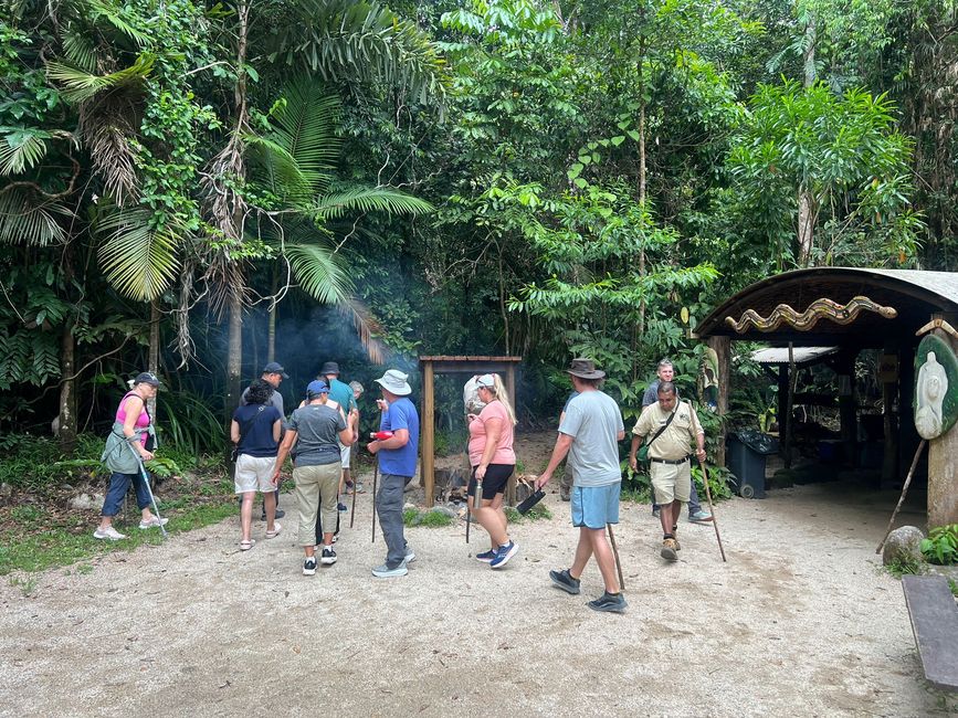 Gola di Mossman: area del patrimonio mondiale delle foreste pluviali umide