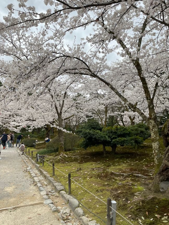 Kenrokuen Garten