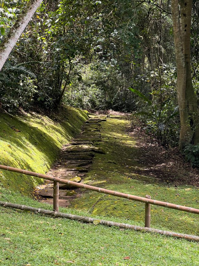 Étiquette 6/Lun, 2ème partie (Parc Archéologique de San Augustin)