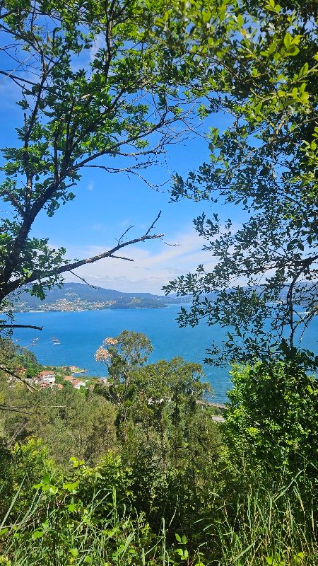 Tag 4 - Vi Vigo bis Redondela