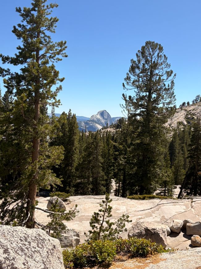 Yosemite National Park