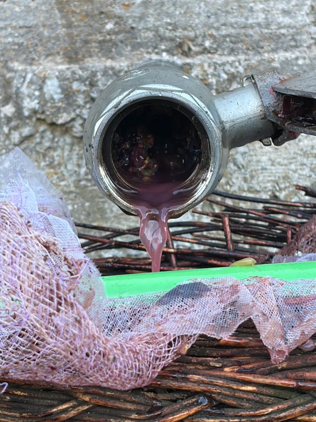 Φτιάξε κρασί (Wein machen)