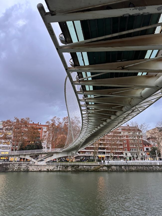 Von Salamanca nach Bilbao: Eine Reise durch Nebel, Berge und Wälder