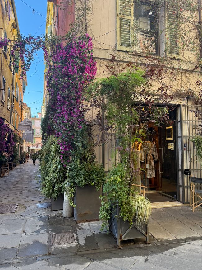 Sarzana