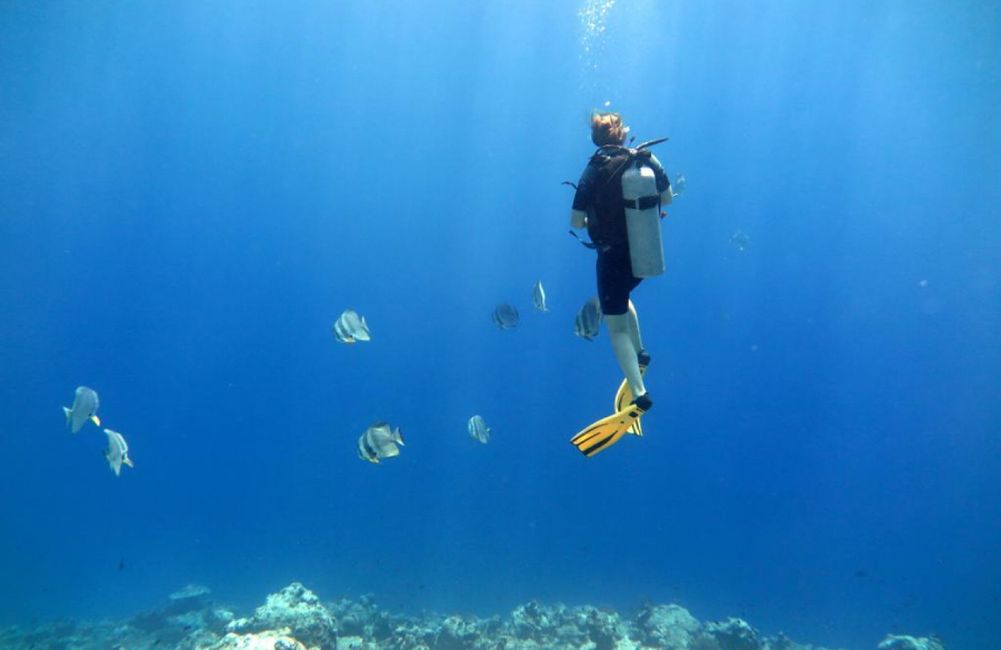 10 Días en Thundufushi - Un Viaje a Través de Aguas Azules, Jardines de Coral y Momentos de Quietud
