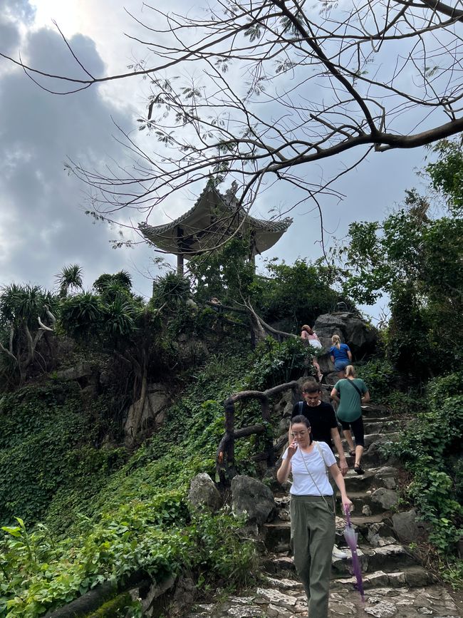 Tag 5 - Hoi An: Ein Tag mit Affen, Einhörnern und vielen Überraschungen