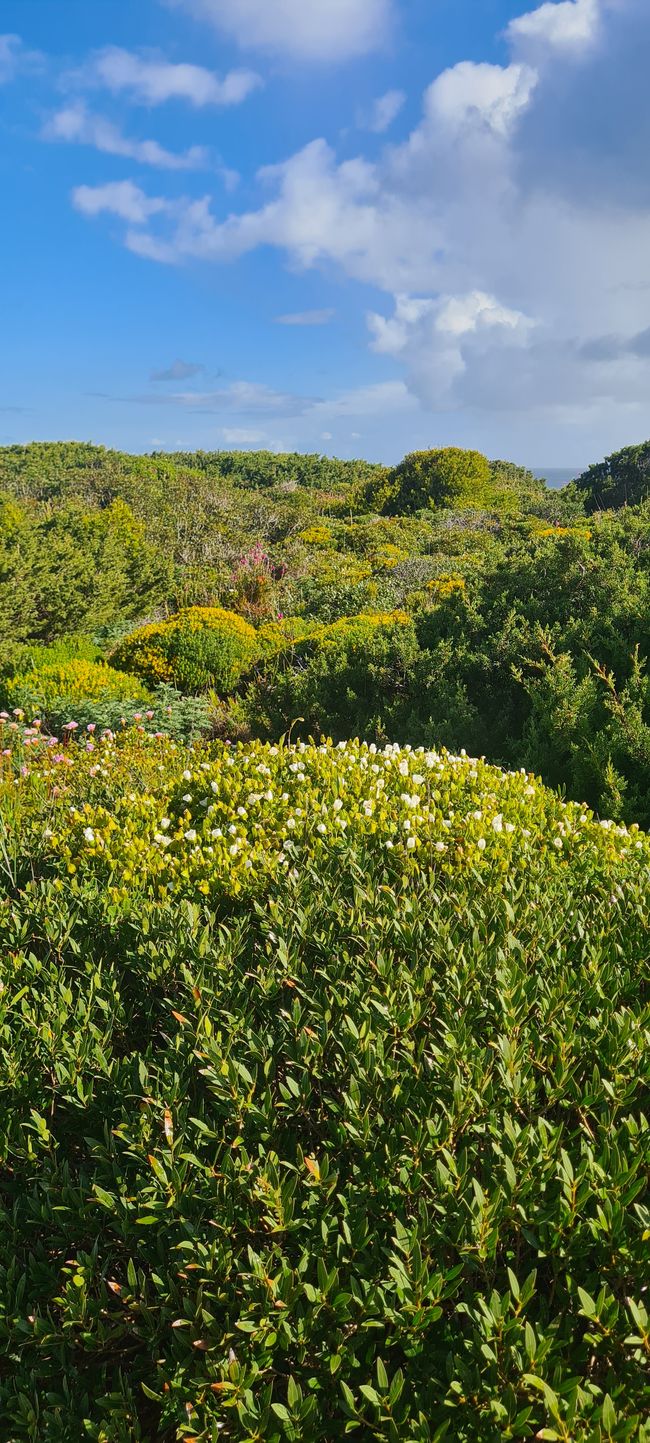 7. Etapa Monte Clerigo - Praia da Arrifana