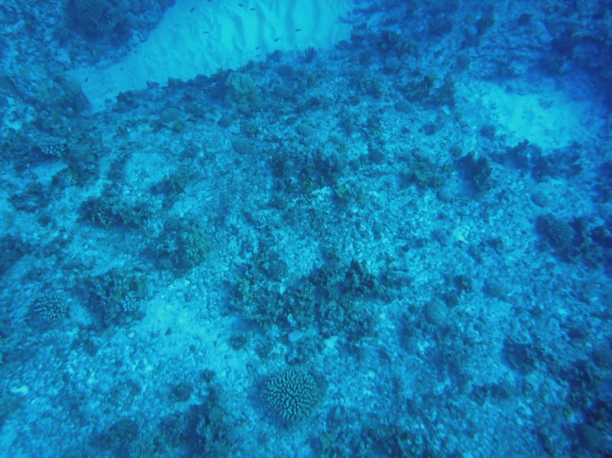 Henderson, Îles Pitcairn