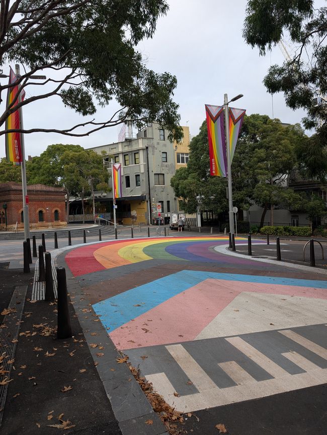 On the way back home