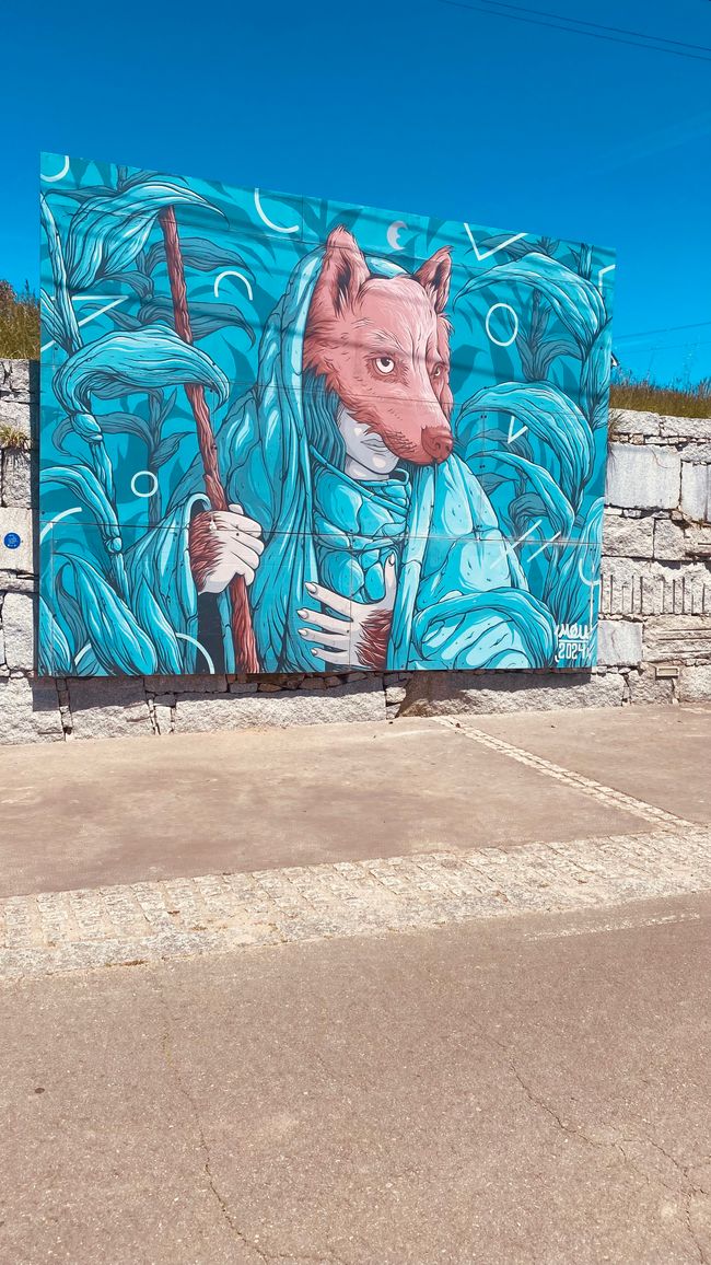 Tag 15 Santiago- Olveiroa