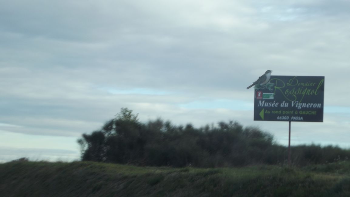 Route von La Jonquera (Spanien) nach Perpignan (Frankreich) (März 2019)