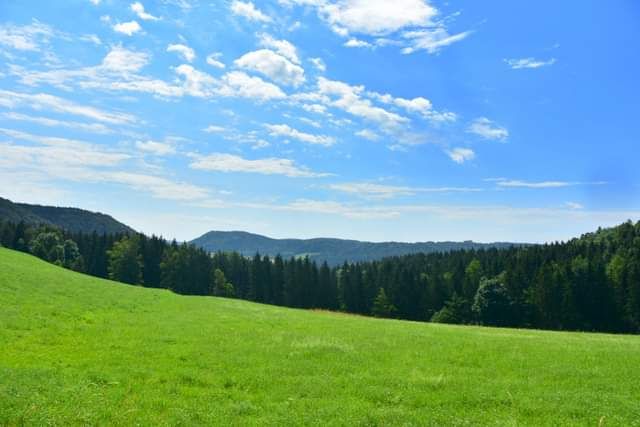 * * * Wacholderhain und Felsgesicht: eine Wanderung in der wilden Schönheit des Lochenpasses * * *