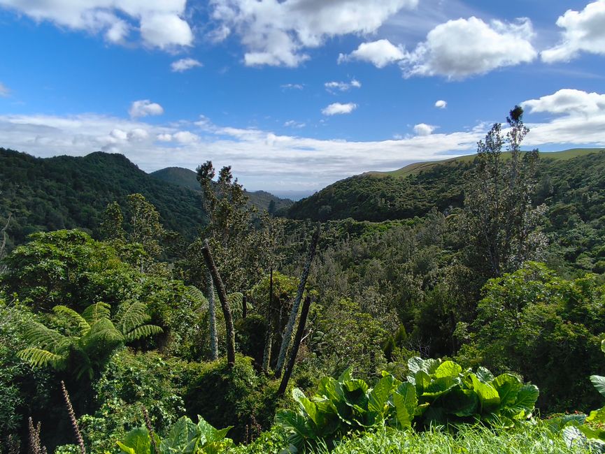 La península de Coromandel ....