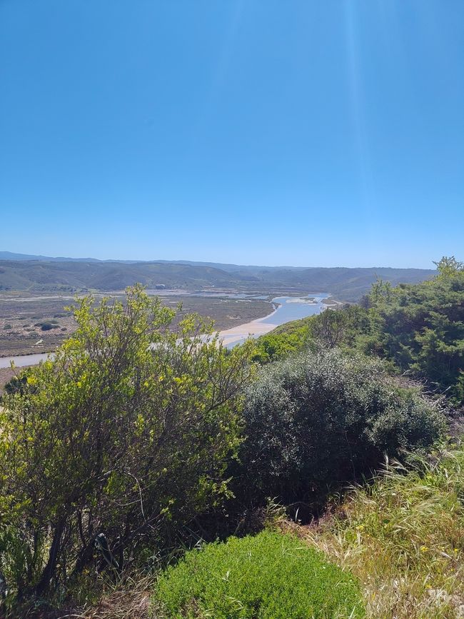 Arrifana -> Aljezur
