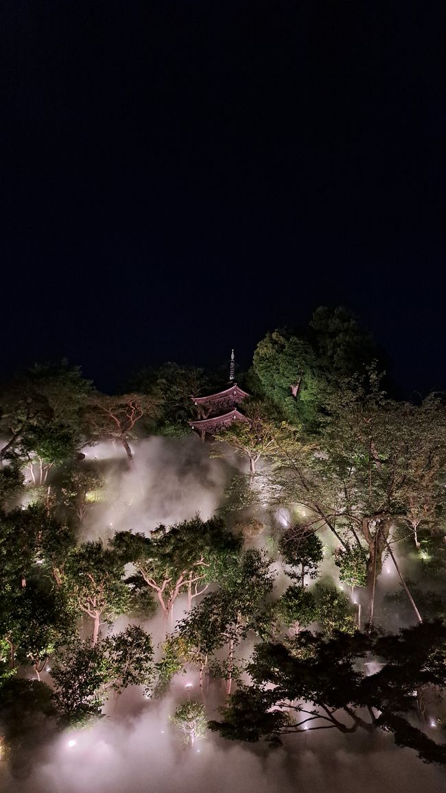 Beautiful Tokyo