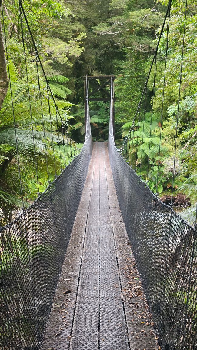 Hokitika - Franz Josef Glacier - Fox Glacier - Monro Beach