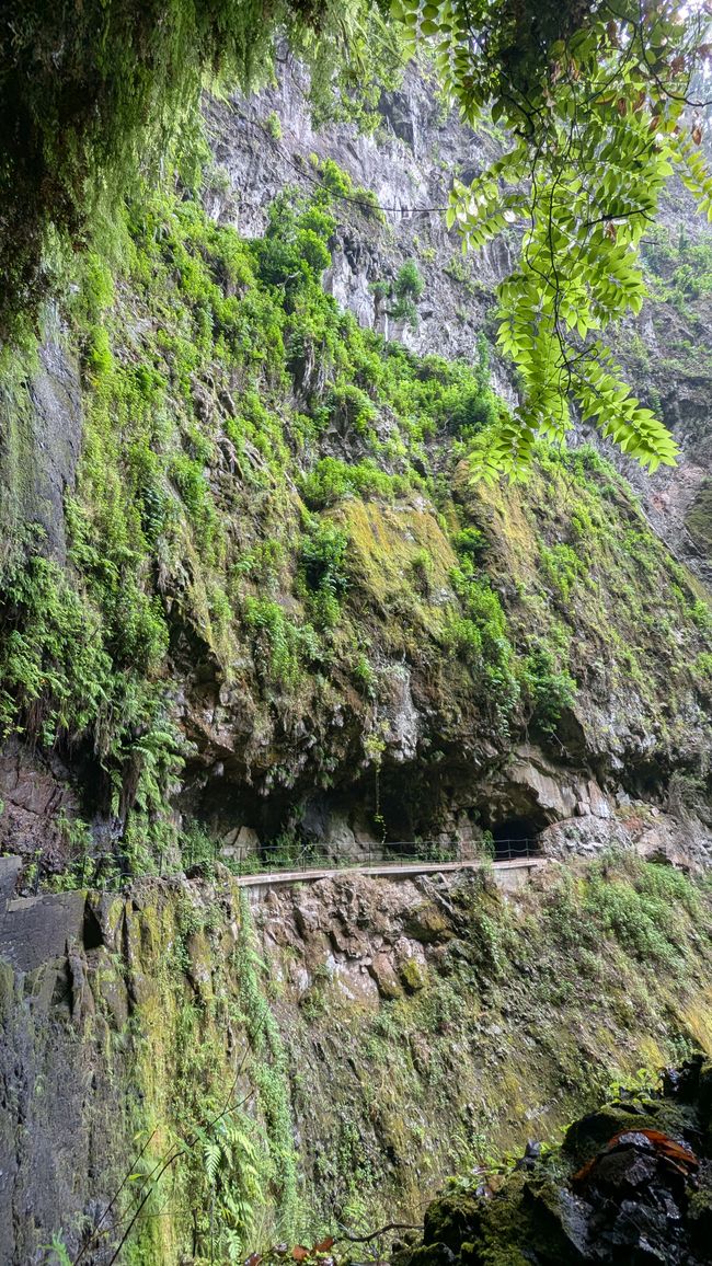 Tag 13: Levada da Ribeira da Janela & Nordwestküste