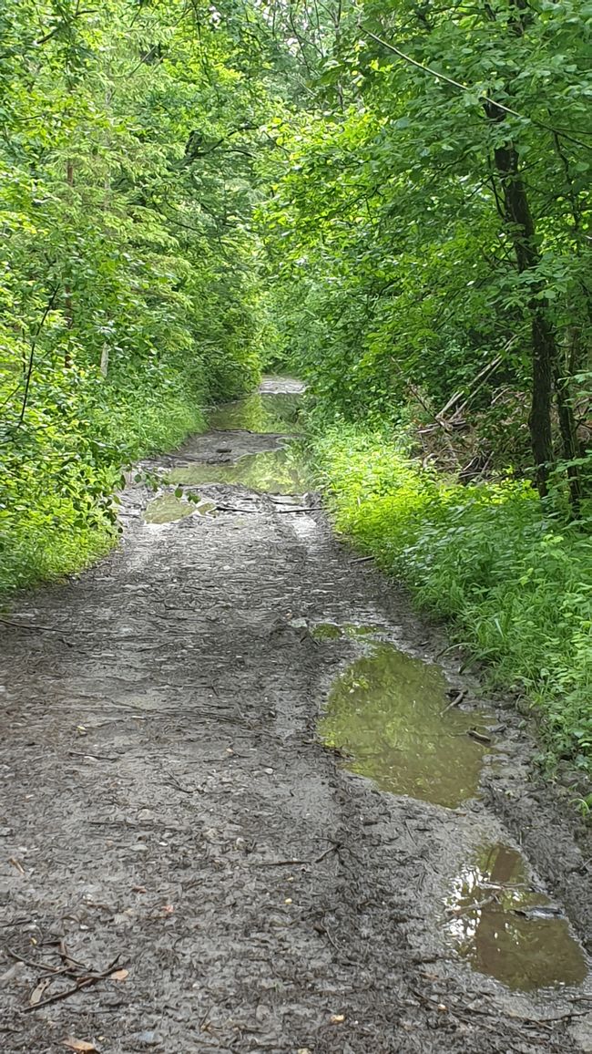 Wanderung nach Faverges