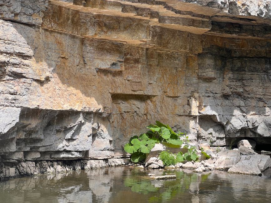 28 Wutachschlucht Pro Wolermoos