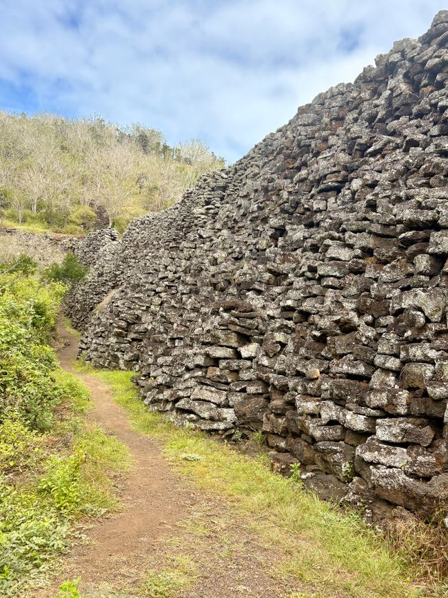 Isabela (Galápagos)