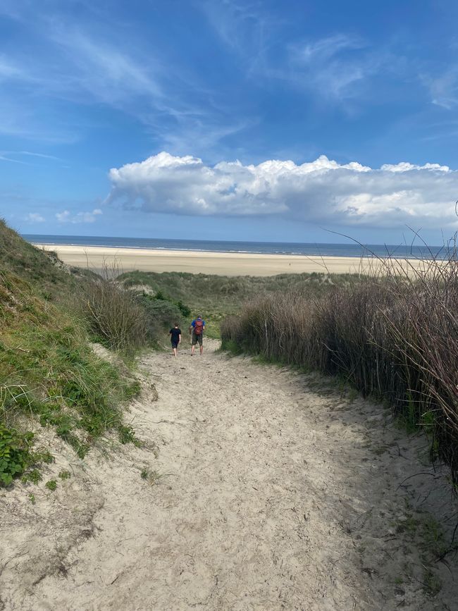27.05.2024 Montag 