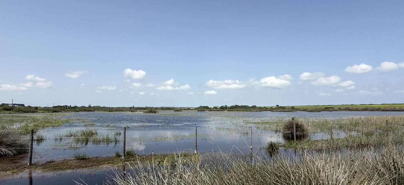 View over the Thau Lagoon