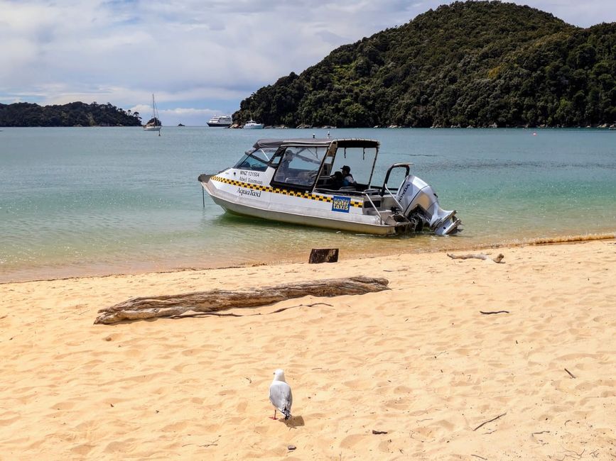 Mit dem Kajak raus auf die Sandy Bay im Abel Tasman-NP