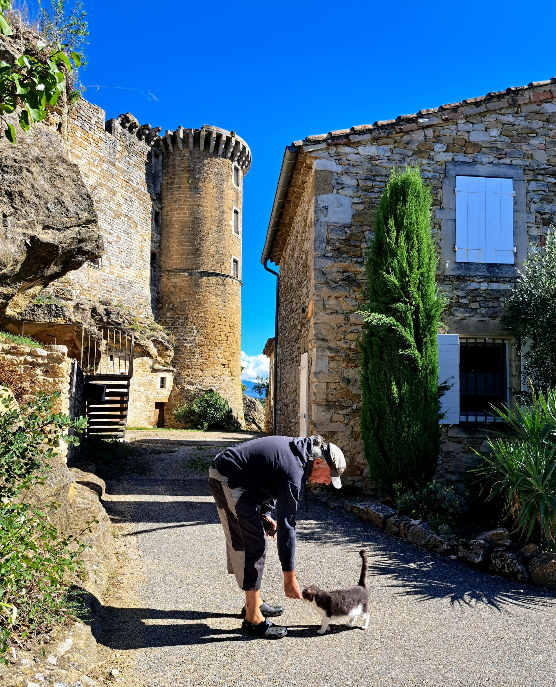 Susurrador de gatos