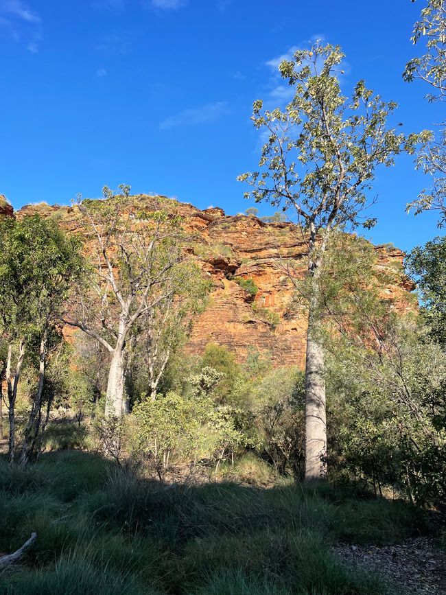Late afternoon mood in Mirima National Park 