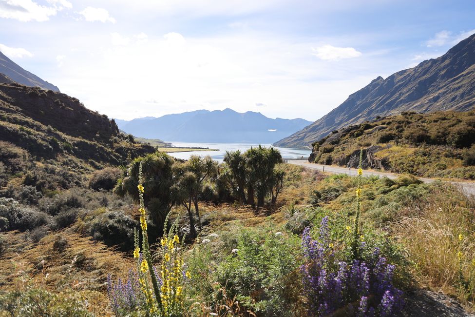 Verbindungsetappe Richtung Milford Sound