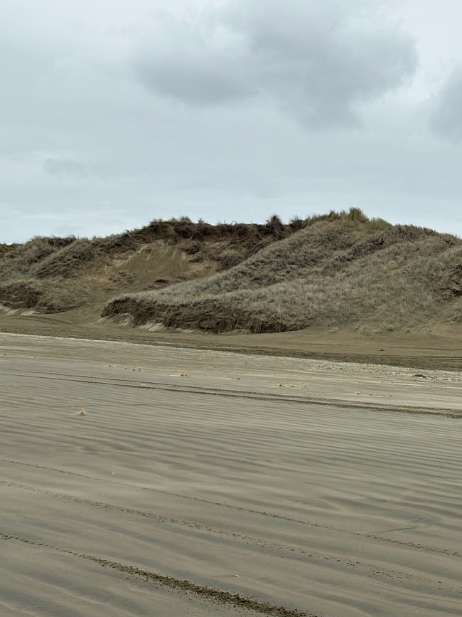 The most famous beach and the bleakest campsite in New Zealand - 90 Mile Beach