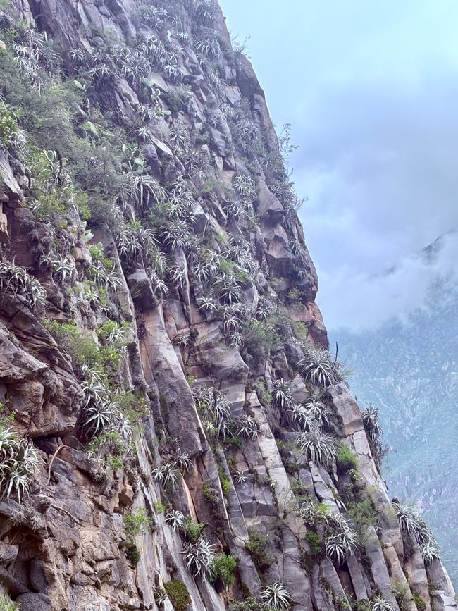 Canyon de Colca