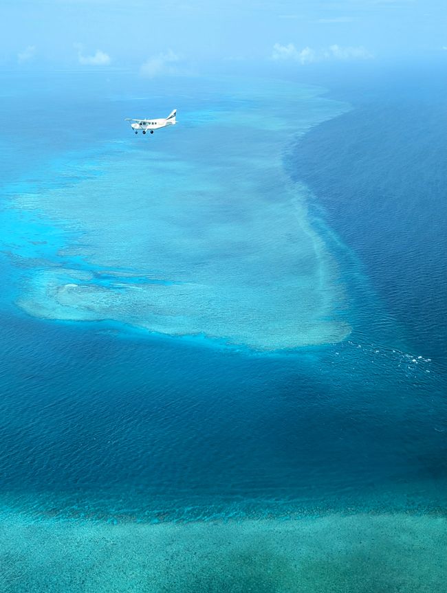 Up in the Air in Airlie