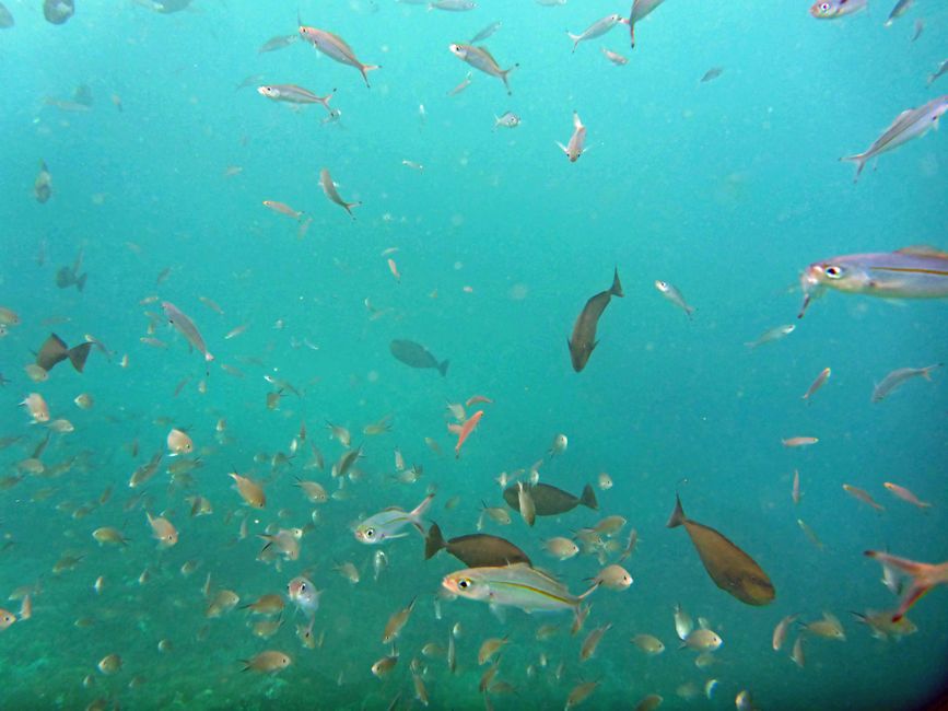 Waiag, Raja Ampat, Indonesia