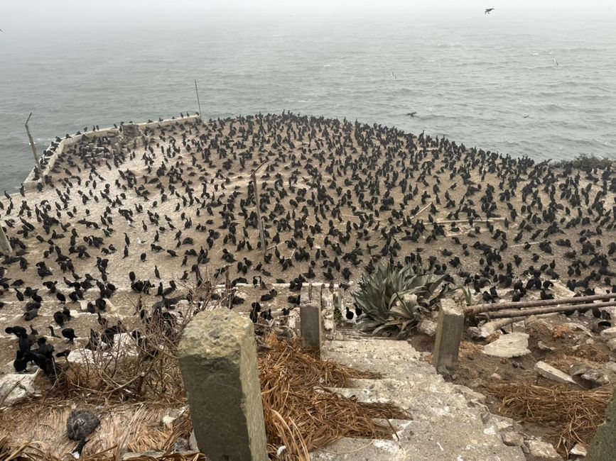 San Francisco