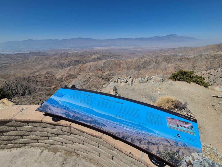 Joshua Tree