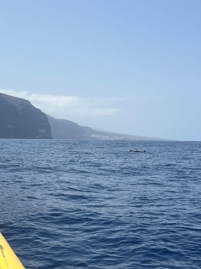 Teneriffa 30.06-04.07.2025