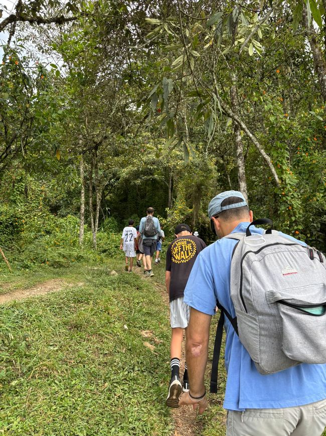 Semaine 26-28 : Au revoir, Colombie