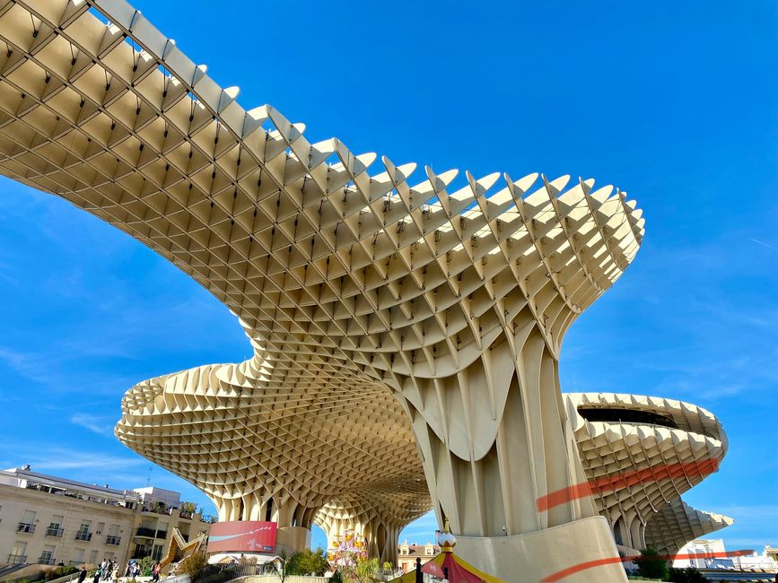 Wahrscheinlich braucht jede Stadt so sein Highlight - die "Holzpilze" von Sevilla