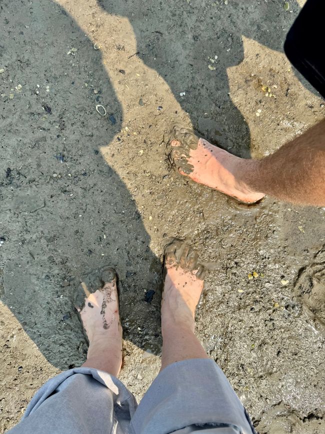 Tag 15 Rimouski - Schiefer, Stufen und Sonnenuntergang