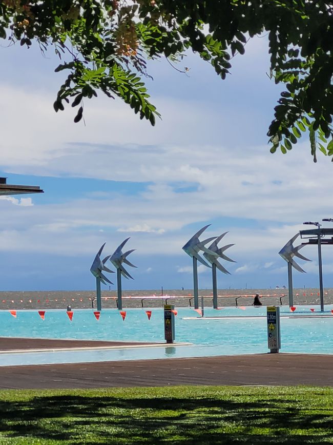 Día 103 de 175: Crucero alrededor del mundo - Cairns/Australia